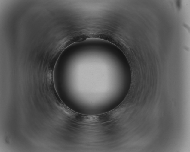 X0000091300288200708241058