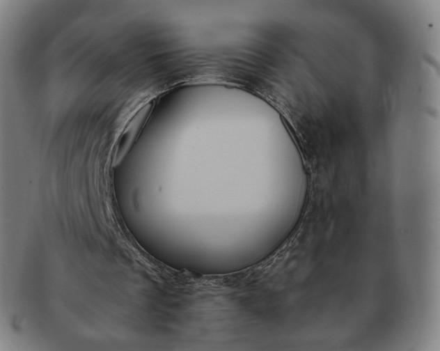 X0000091300289200708241057