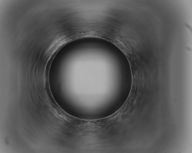 X0000091300290200708241057