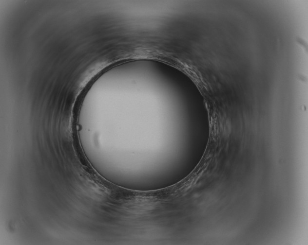 X0000091300292200708241057