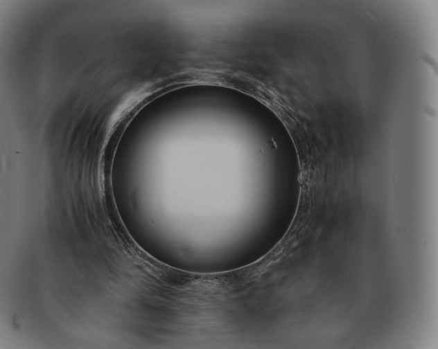 X0000091300294200708241057