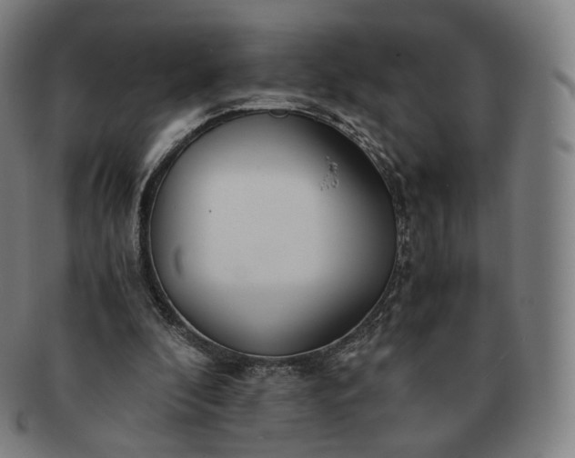 X0000091300296200708241057