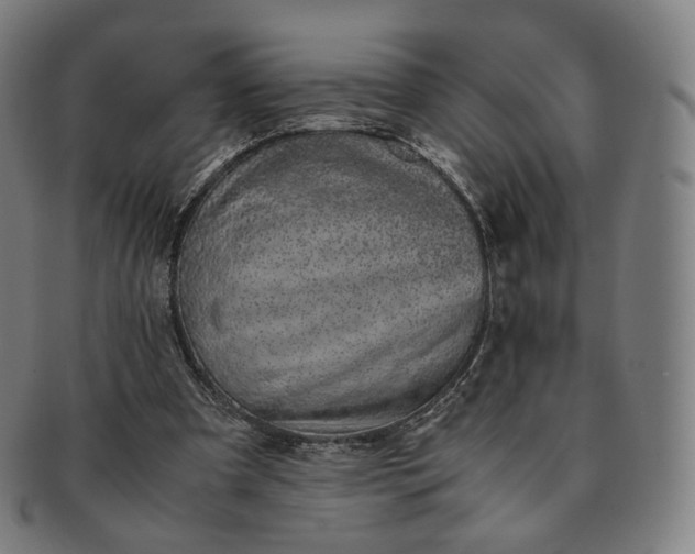 X0000091300297200708241057