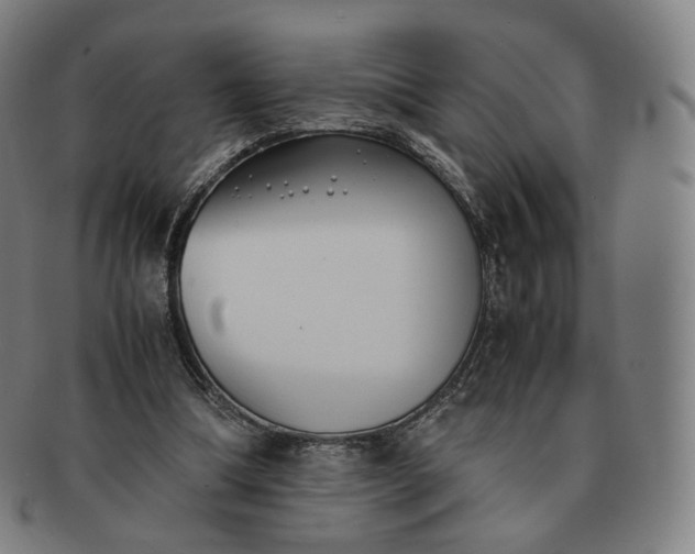 X0000091300298200708241057