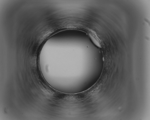 X0000091300299200708241057