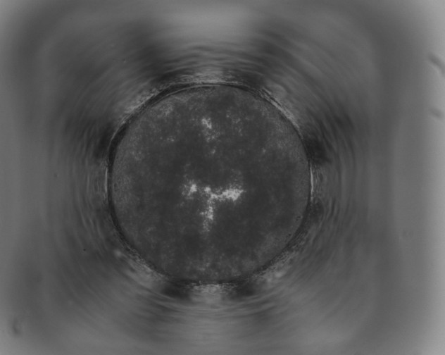 X0000091300301200708241057