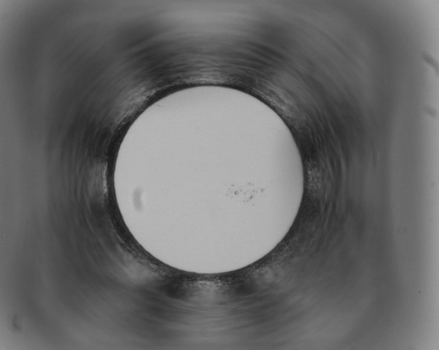 X0000091300302200708241057