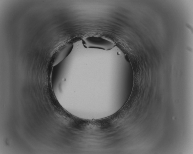 X0000091300303200708241057