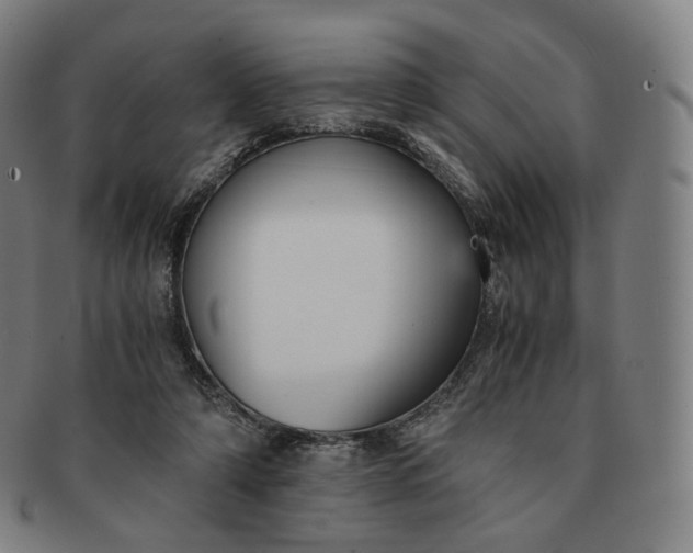 X0000091300306200708241057