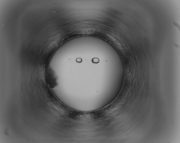 X0000091300307200708241057