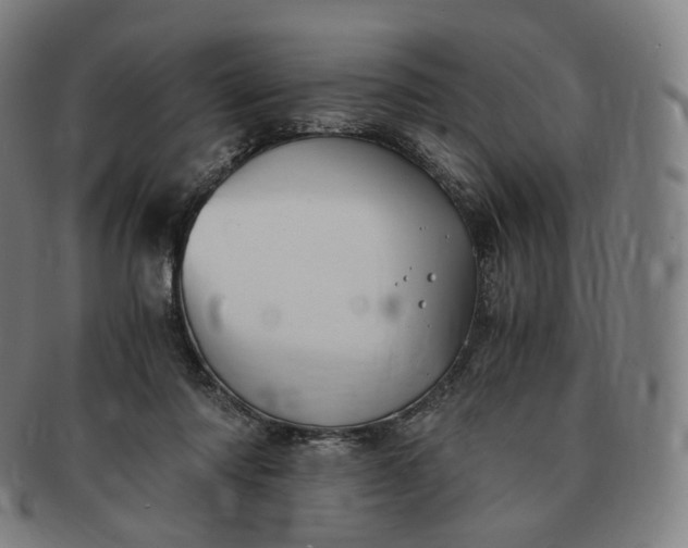 X0000091300310200708241057