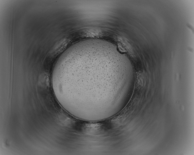 X0000091300313200708241057