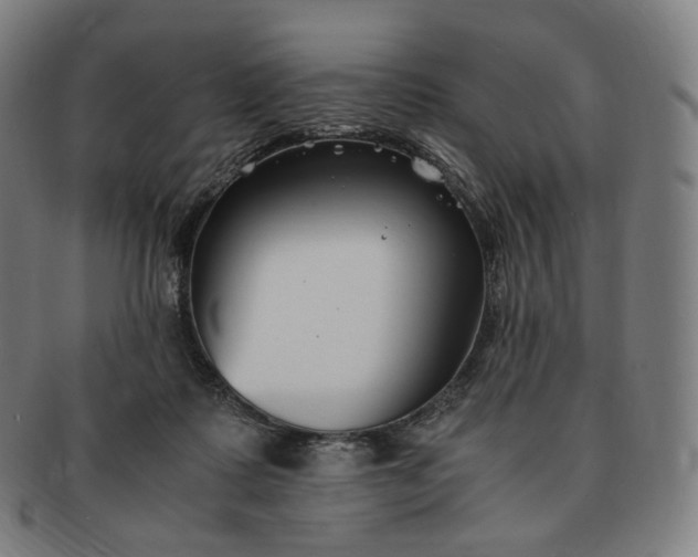 X0000091300315200708241057