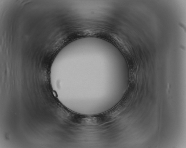 X0000091300317200708241057