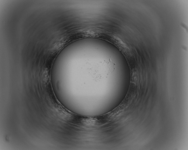 X0000091300318200708241057