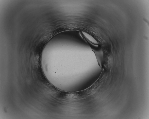 X0000091300319200708241057