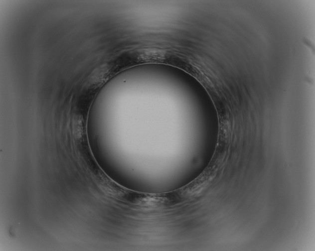 X0000091300323200708241057