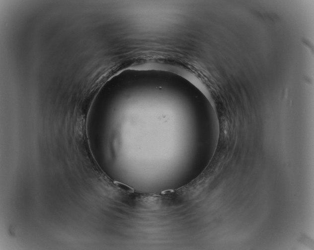 X0000091300325200708241057