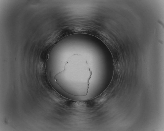 X0000091300327200708241057