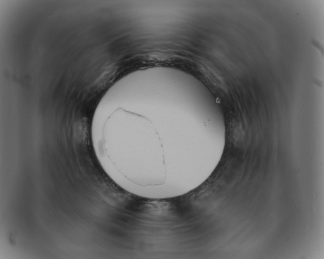 X0000091300328200708241057