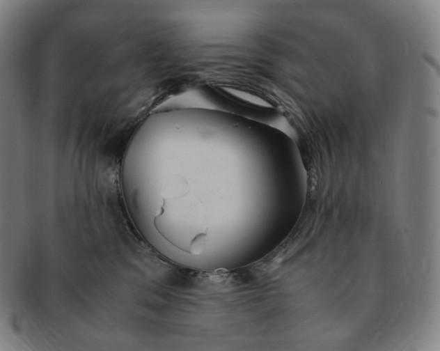 X0000091300329200708241057