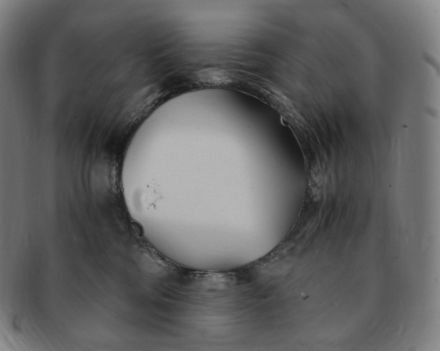 X0000091300330200708241057