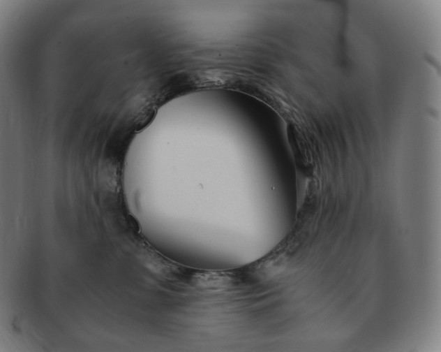 X0000091300331200708241057