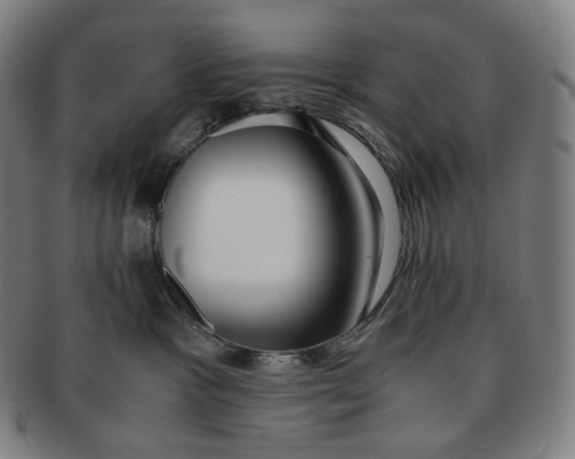 X0000091300333200708241057