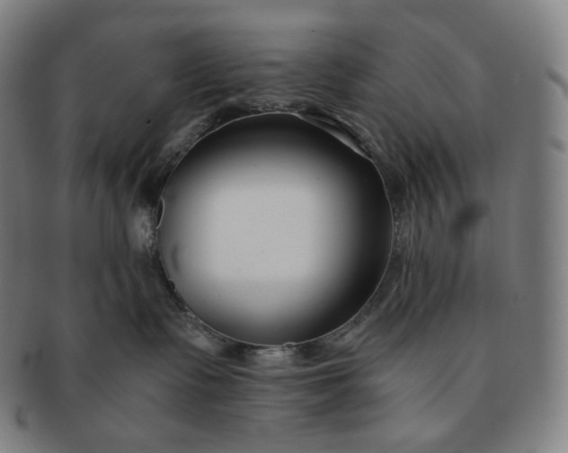 X0000091300335200708241057