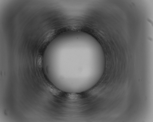 X0000091300336200708241057