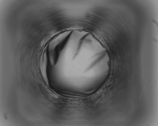 X0000091300337200708241056