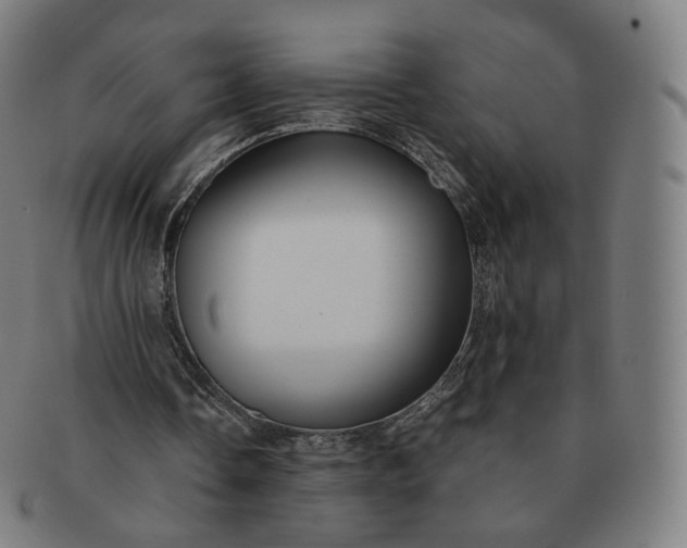 X0000091300338200708241056