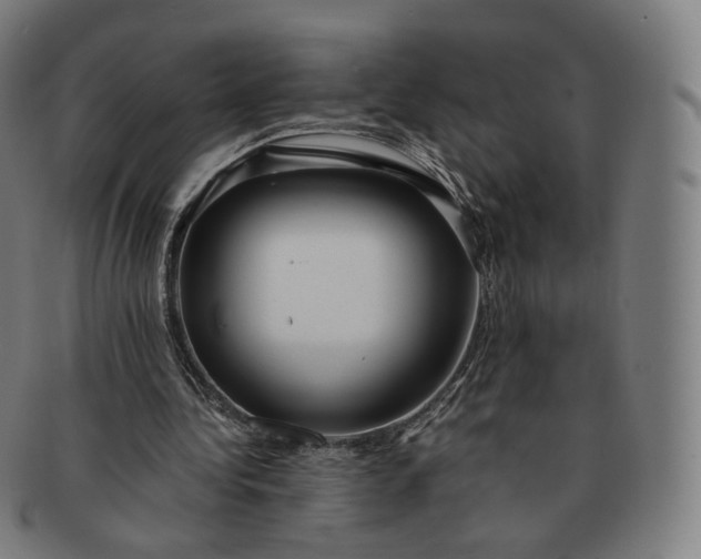 X0000091300340200708241056