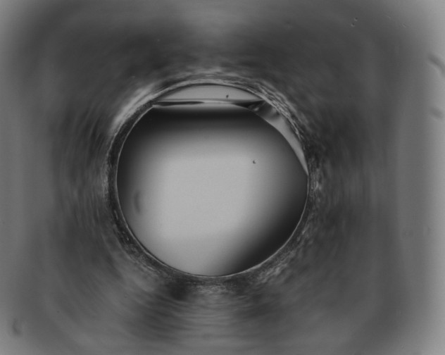 X0000091300344200708241056