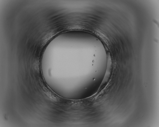 X0000091300345200708241056