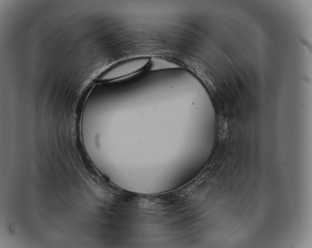 X0000091300346200708241056