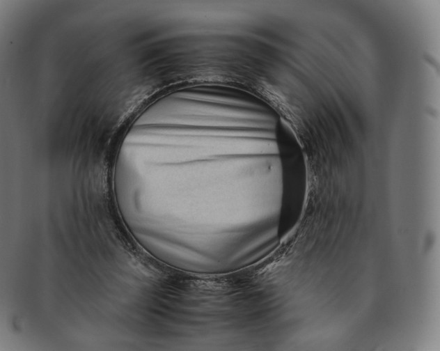 X0000091300347200708241056