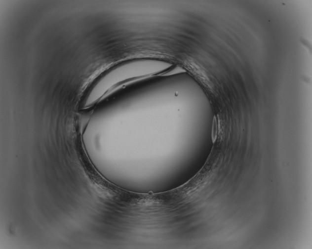 X0000091300348200708241056