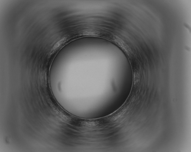 X0000091300349200708241056