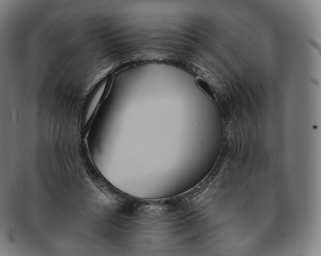 X0000091300352200708241056