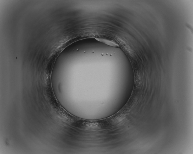 X0000091300355200708241056