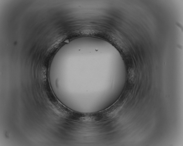 X0000091300356200708241056