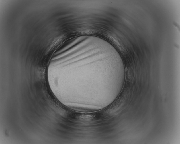 X0000091300357200708241056