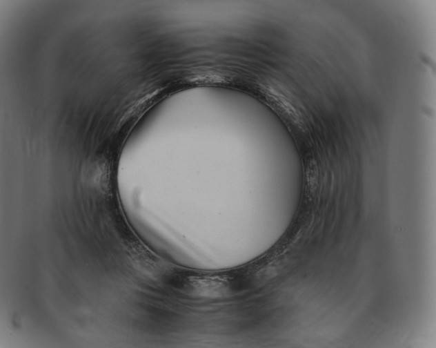 X0000091300359200708241056