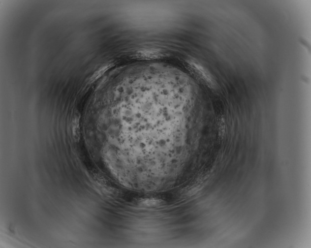 X0000091300360200708241056