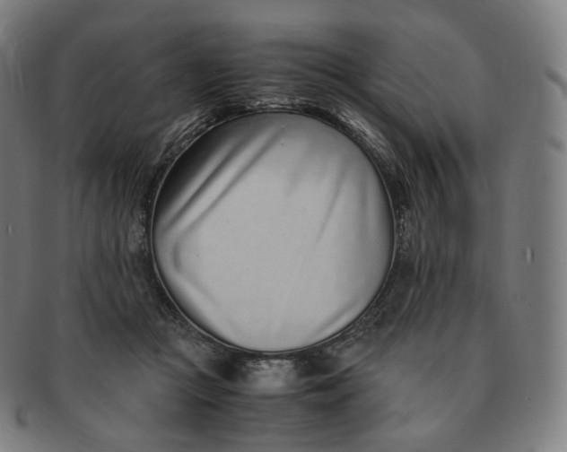 X0000091300361200708241056