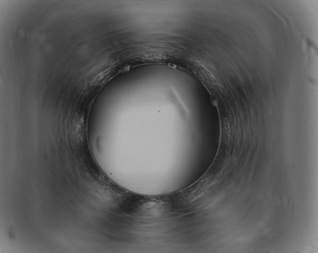 X0000091300364200708241056