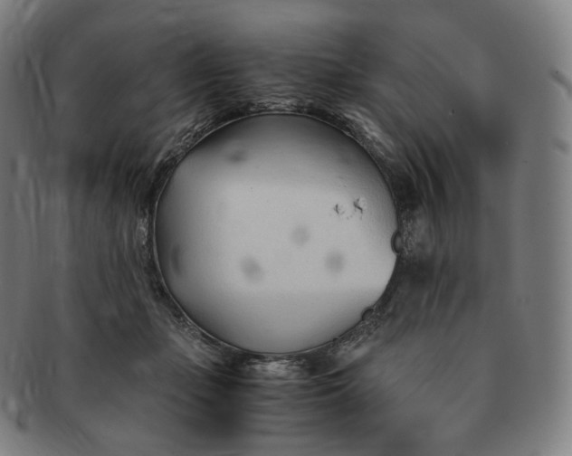 X0000091300365200708241056