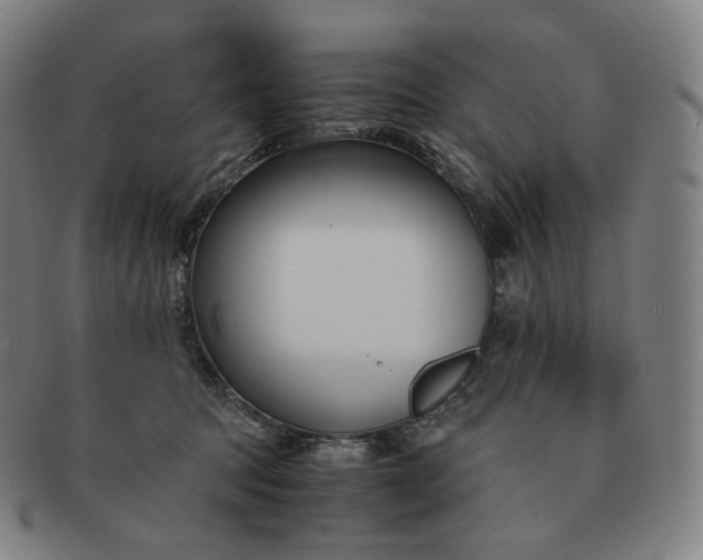 X0000091300369200708241056