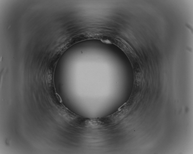 X0000091300372200708241056